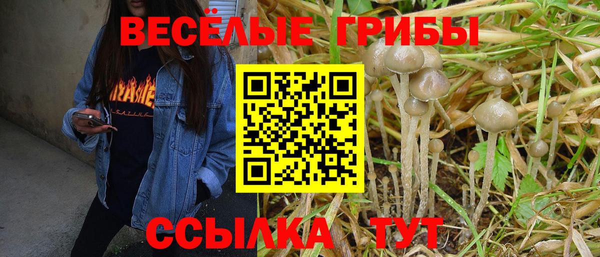 Галлюциногенные грибы Psilocybine cubensis  Вход с VPN  купить наркотики сайты  Псилоцибиновые грибы Magic Shrooms  Клин 